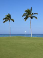 Waikoloa Beach (Beach) 6th Vertical